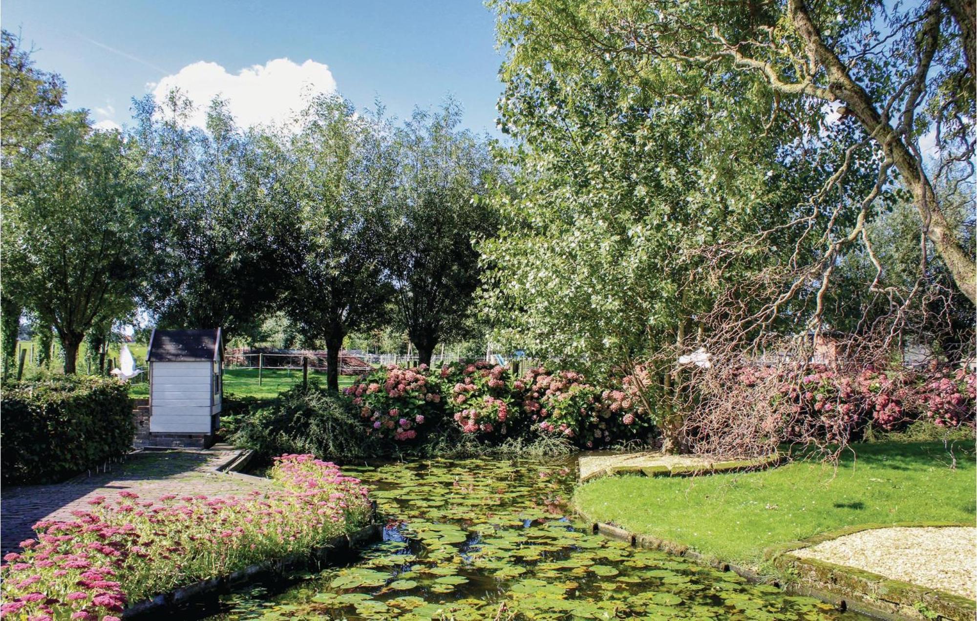 Hoeve Alegria Hoogwoud ภายนอก รูปภาพ